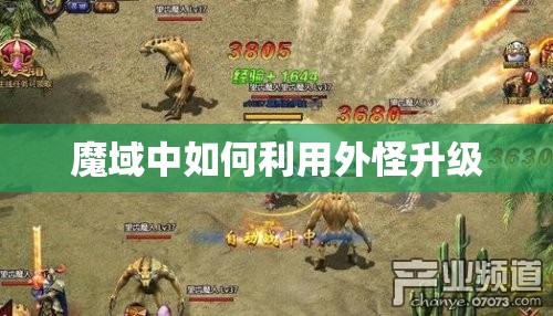 魔域中如何利用外怪升级