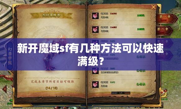 新开魔域sf有几种方法可以快速满级？